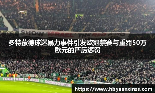 多特蒙德球迷暴力事件引发欧冠禁赛与重罚50万欧元的严厉惩罚
