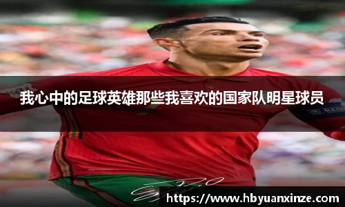 我心中的足球英雄那些我喜欢的国家队明星球员