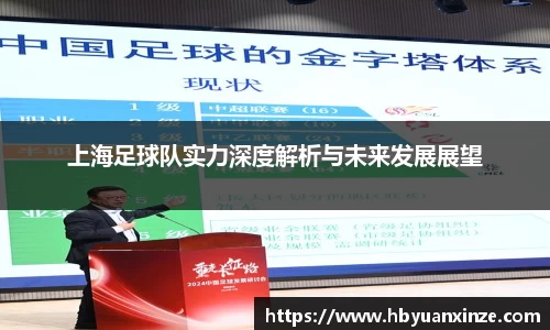 上海足球队实力深度解析与未来发展展望